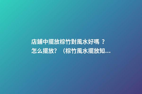 店鋪中擺放棕竹對風水好嗎？怎么擺放？（棕竹風水擺放知識）